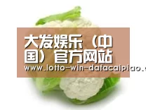 产品名称九