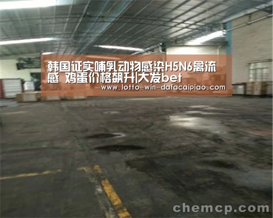 韩国证实哺乳动物感染H5N6禽流感 鸡蛋价格飙升|大发bet(图2) 大发bet