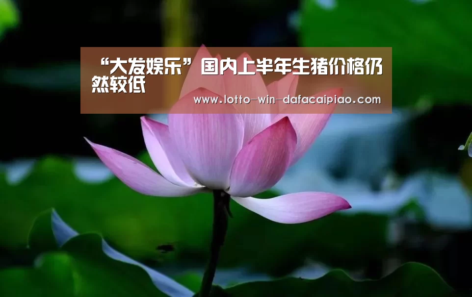 大发bet