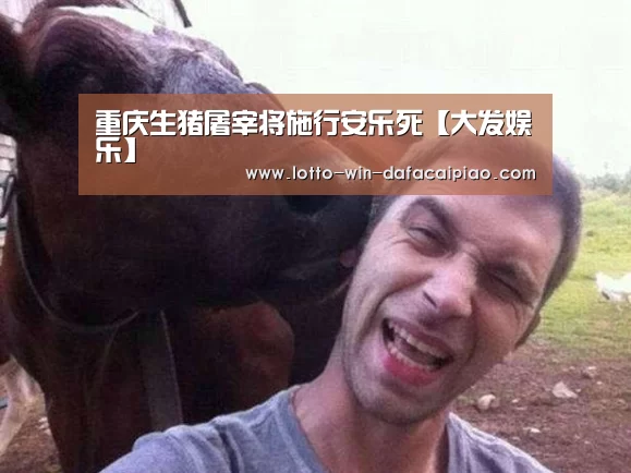 重庆生猪屠宰将施行安乐死【大发娱乐】(图3) 大发bet